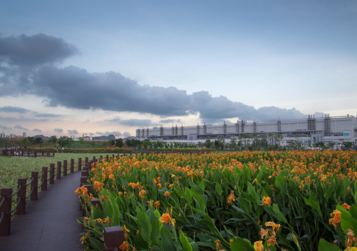 TCL环亚币游国际人工湿地